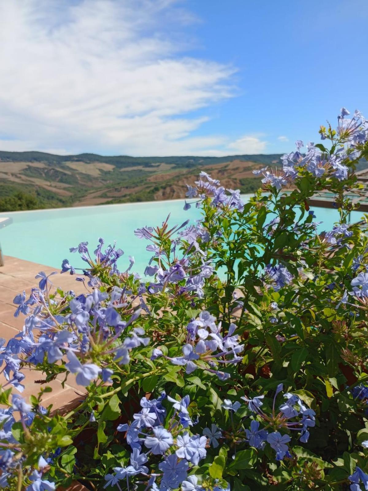La Fonte Carducciana Villa San Casciano dei Bagni Dış mekan fotoğraf